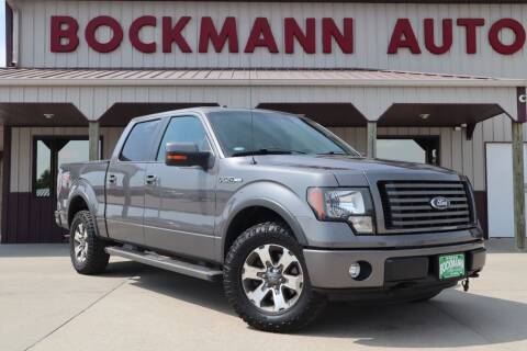 2011 Ford F-150 for sale at Bockmann Auto Sales in Saint Paul NE