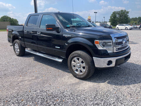 2014 Ford F-150 for sale at McCully's Automotive - Trucks & SUV's in Benton KY