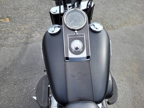 2015 Harley-Davidson FLSTFB