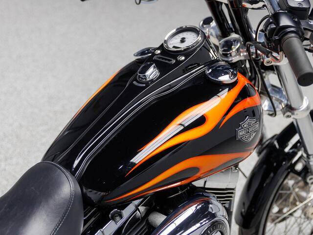 2010 Harley-Davidson Dyna