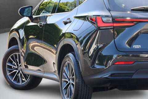 2024 Lexus NX 350