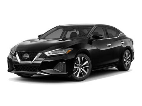 2023 Nissan Maxima for sale at Tim Short Chrysler Dodge Jeep RAM Ford of Morehead in Morehead KY