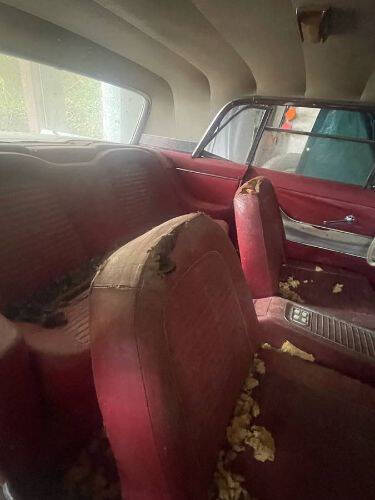 1959 Ford Thunderbird