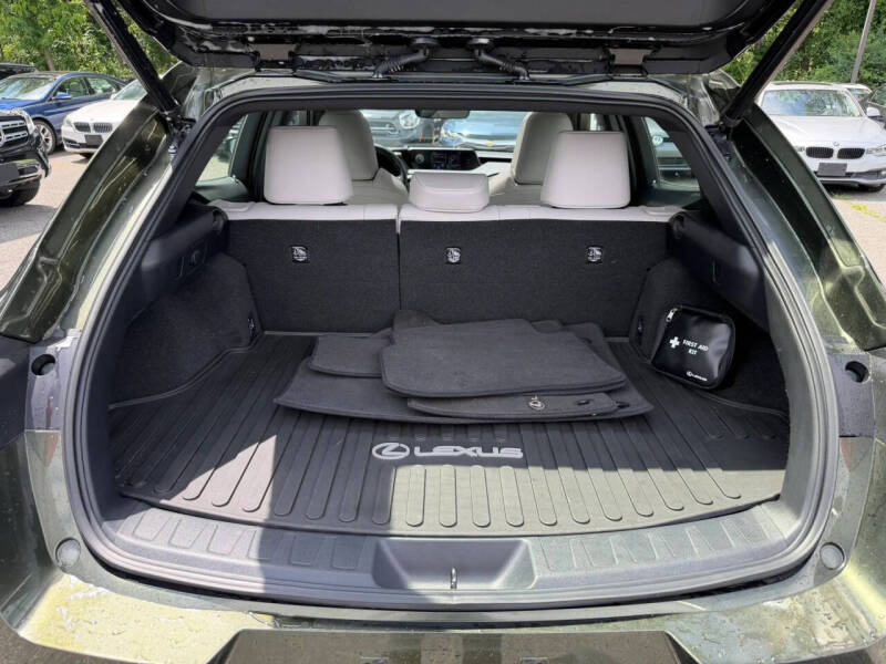 2021 Lexus UX 250h