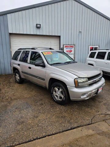 2004 Chevrolet TrailBlazer for sale at AMAZING AUTO SALES in Hollandale WI
