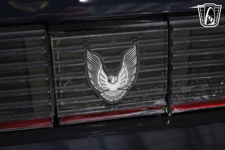 1981 Pontiac Firebird Trans Am