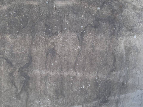 2002 Pontiac Firebird Trans Am