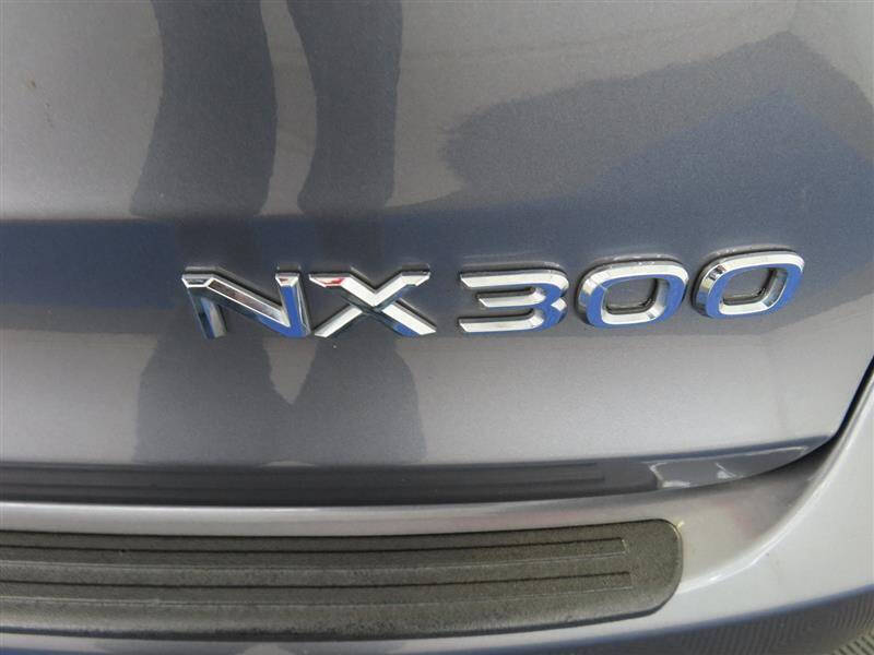 2019 Lexus NX 300 F SPORT