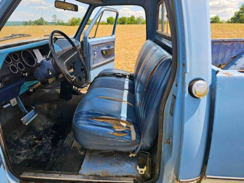 1973 Dodge D100 Pickup