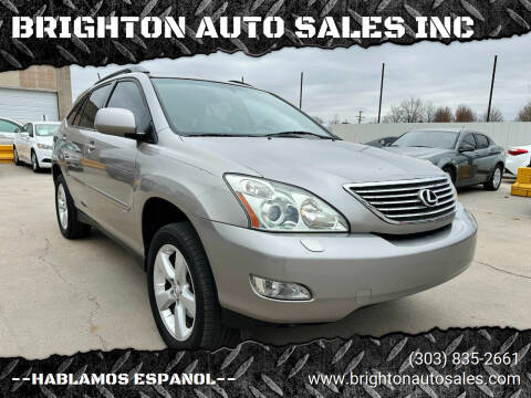 2005 Lexus RX 330 for sale at BRIGHTON AUTO SALES INC in Brighton CO