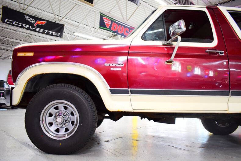 1983 Ford Bronco