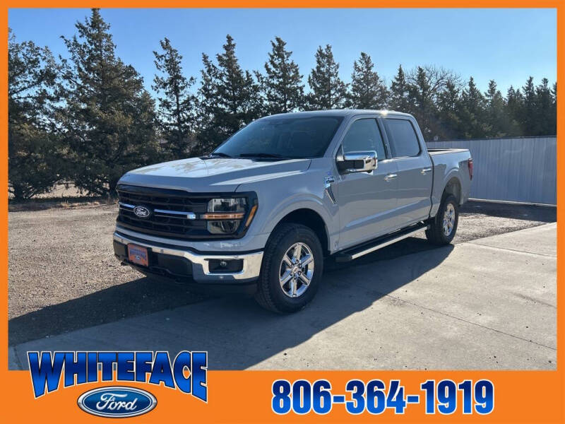 2024 Ford F-150 for sale at Whiteface Ford in Hereford TX