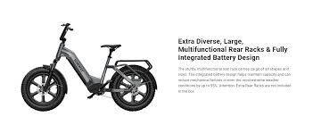 2025 HIMIWAY BIG DOG Electric Cargo Bike