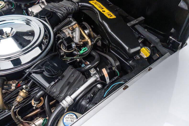 1981 Chevrolet Corvette