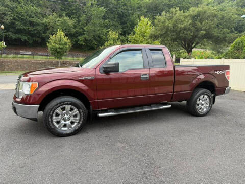 2009 Ford F-150