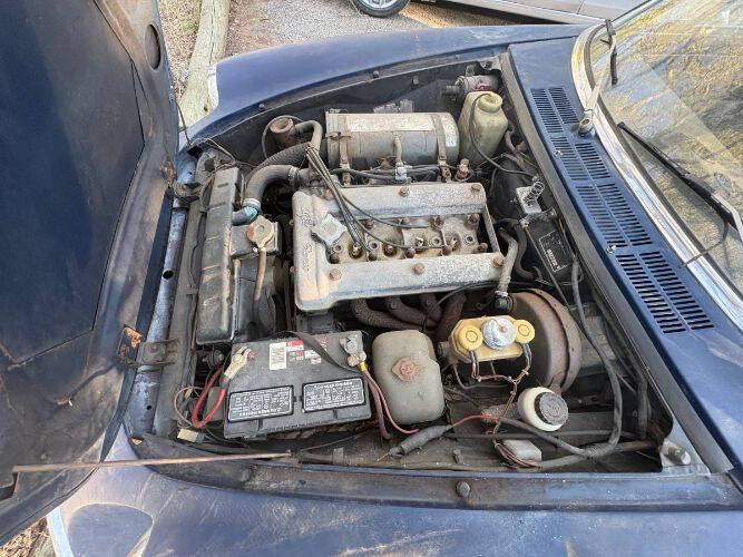 1974 Alfa Romeo Spider