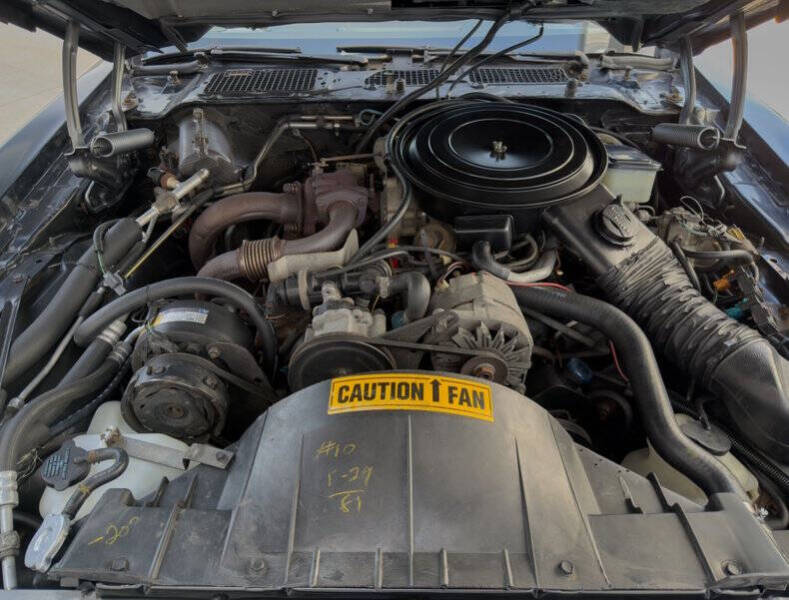 1981 Pontiac Firebird Trans Am