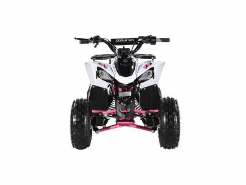 2025 Coolster 110cc 3050B2