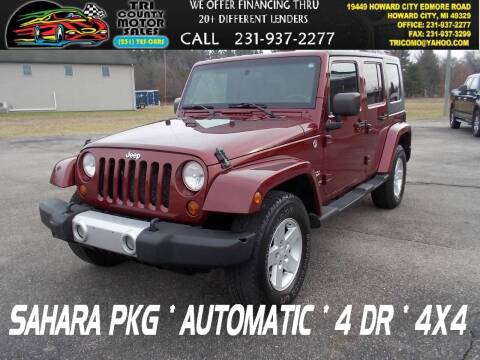 2008 Jeep Wrangler Unlimited for sale at Tri County Motor Sales in Howard City MI