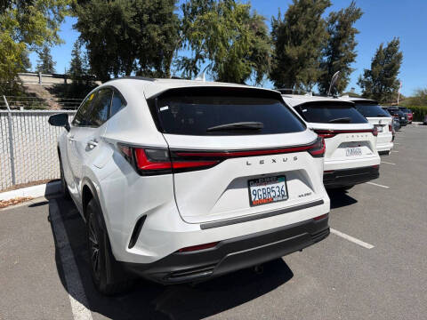 2024 Lexus NX 250