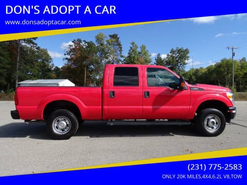 2015 Ford F-250 Super Duty for sale at DON'S ADOPT A CAR in Cadillac MI