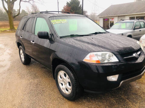 2002 Acura MDX for sale at Al's Used Cars in Cedar Springs MI