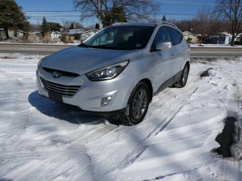 2014 Hyundai Tucson for sale at Triangle Auto Sales in Elgin IL