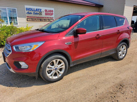 2019 Ford Escape for sale at Hollatz Auto Sales in Parkers Prairie MN