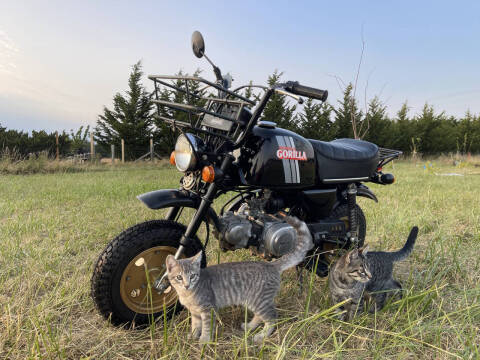1983 Honda Gorilla