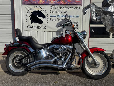 2007 Harley-Davidson FLSTF -