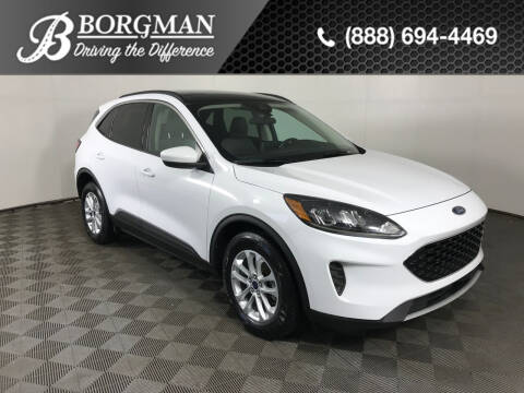 2020 Ford Escape for sale at BORGMAN OF HOLLAND LLC in Holland MI