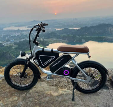 2026 PAMILA E3 MID-DRIVE E BIKE
