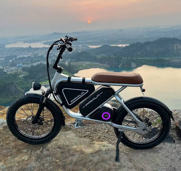 2026 PAMILA E3 MID-DRIVE E BIKE