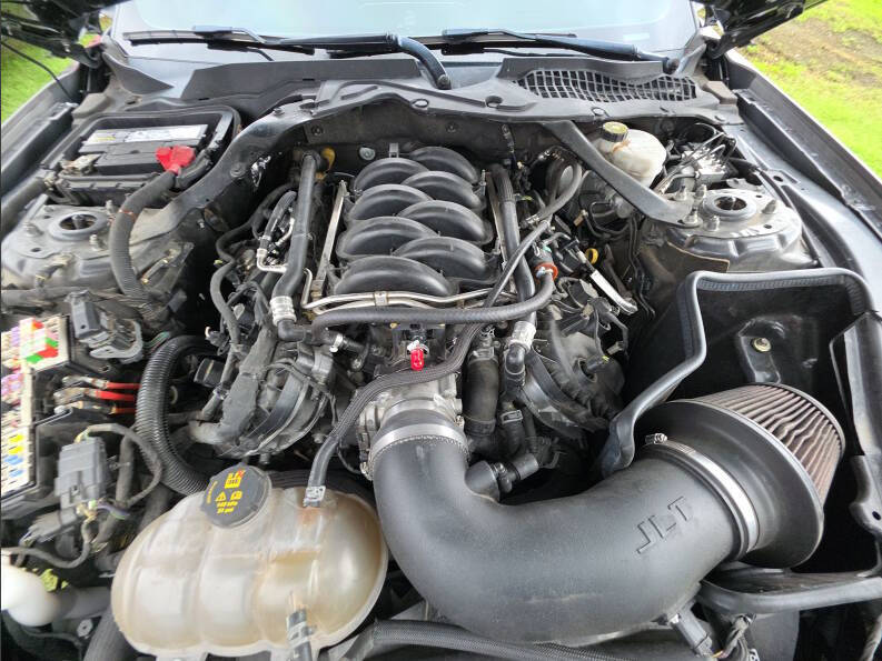 2019 Ford Mustang