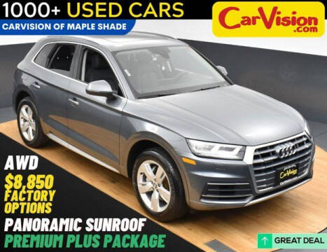 2019 Audi Q5 for sale at Car Vision Mitsubishi Norristown in Norristown PA