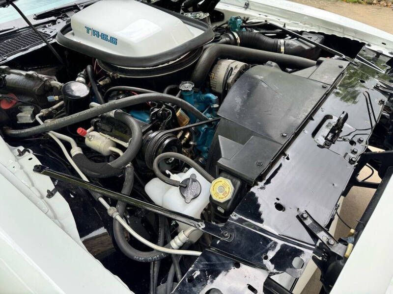 1979 Pontiac Trans Am