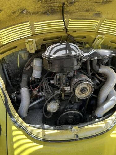 1979 Volkswagen Beetle