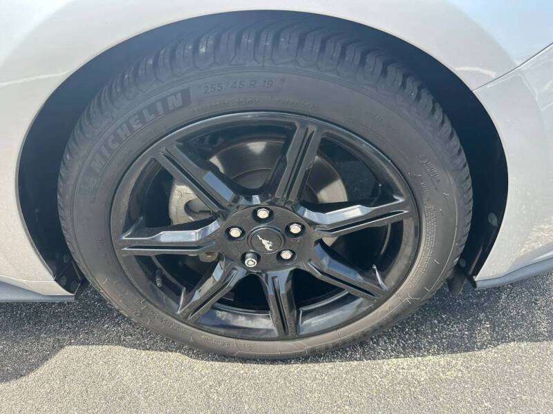 2019 Ford Mustang