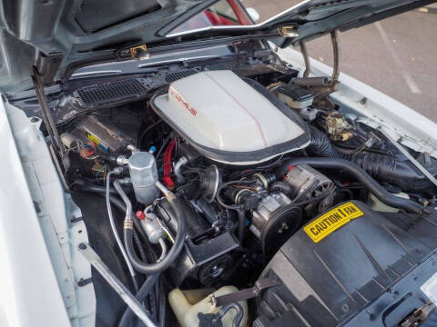 1981 Pontiac Firebird Trans Am