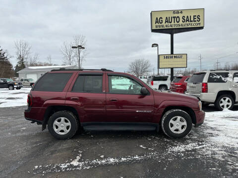 2004 Chevrolet TrailBlazer for sale at AG Auto Sales in Ontario NY