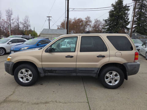 2007 Ford Escape XLT