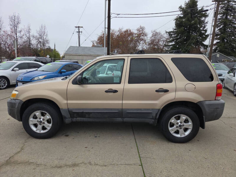 2007 Ford Escape XLT