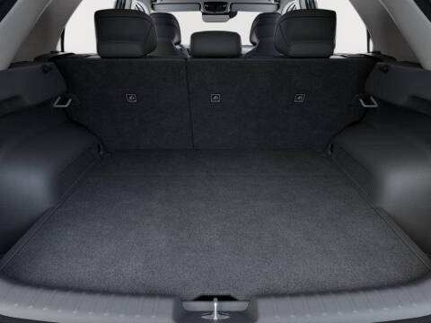 2026 Kia Niro EV Wave