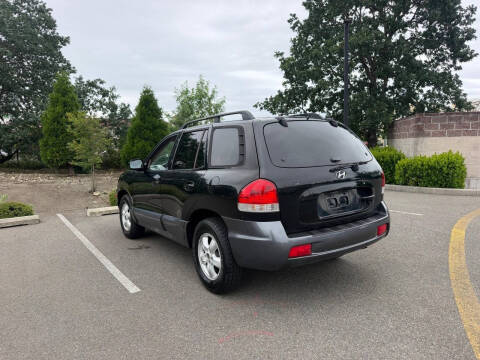 2005 Hyundai Santa Fe GLS
