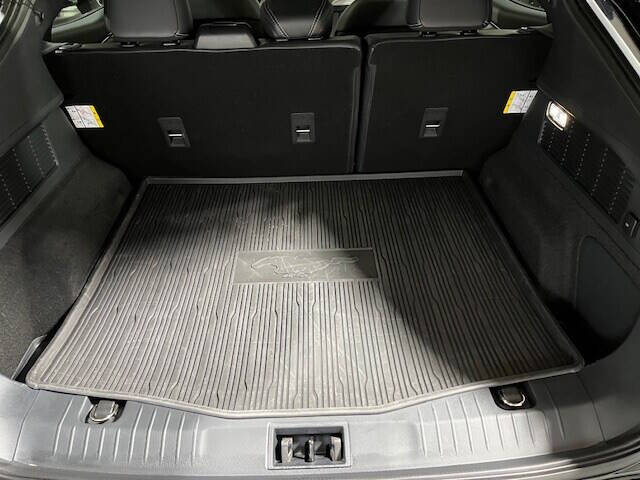 2021 Ford Mustang Mach-E