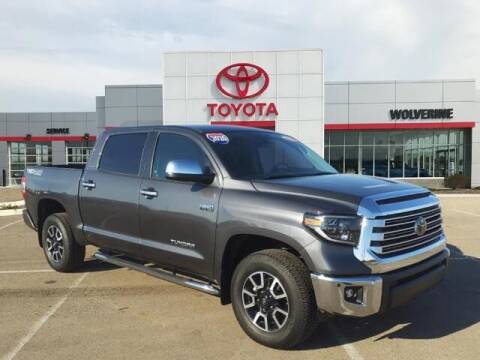 2020 Toyota Tundra for sale at Wolverine Toyota in Dundee MI