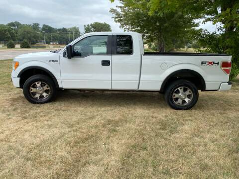 2010 Ford F-150 for sale at Lewis Blvd Auto Sales in Sioux City IA