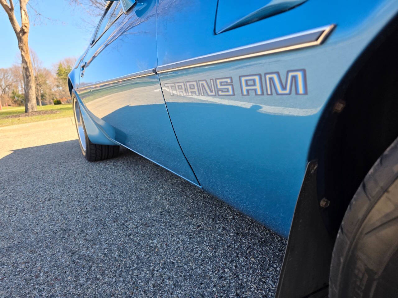 1980 Pontiac Firebird Trans Am 56