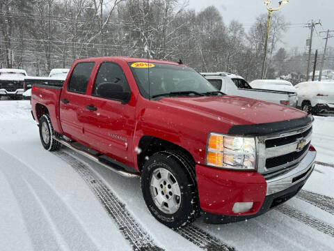 2010 Chevrolet Silverado 1500 for sale at Pine Grove Auto Sales LLC in Russell PA