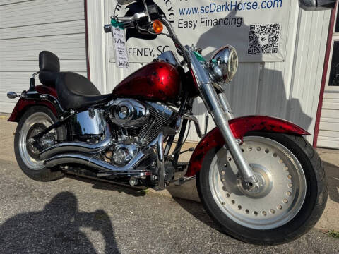 2007 Harley-Davidson FLSTF -